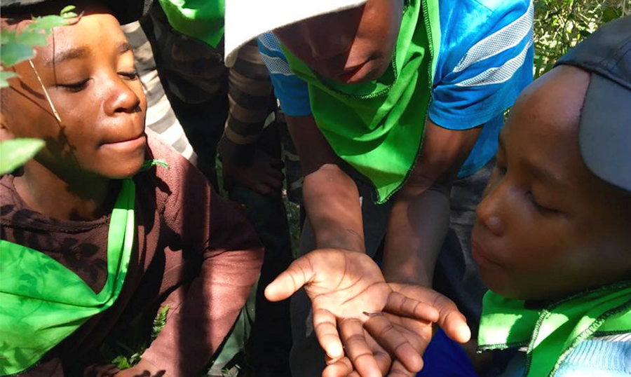  Dargle Primary learners explore the forest floor